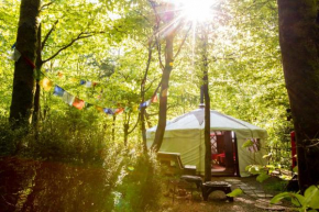 Отель Larkhill Tipis and Yurts  Кармартен